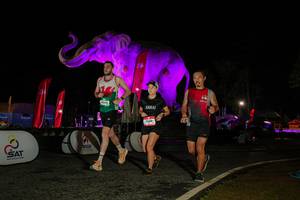 BIB: 
                            <button type="button" onclick="openModal(26534570)" class="btn btn-primary btn-sm float-right btn-popup" data-toggle="modal" data-target=".modal-high-quality">
                        <i class="fas fa-shopping-cart"></i> Add to Cart
                    </button>
                                            <button type="button" onclick="isThisMe(26534570, true)" class="btn btn-success btn-sm float-right btn-popup btn-isme hidden" data-toggle="tooltip" data-placement="bottom" title="นี่คือรูปของคุณใช่ไหม คลิกที่นี่เพื่อเอาเข้าอัลบั้ม">
                        <i class="fas fa-plus"></i> Add to album
                    </button>
                    <button type="button" onclick="isThisMe(26534570, false)" class="btn btn-warning btn-sm float-right btn-popup btn-isnotme hidden">
                        <i class="fas fa-ban"></i> Remove from album
                    </button>